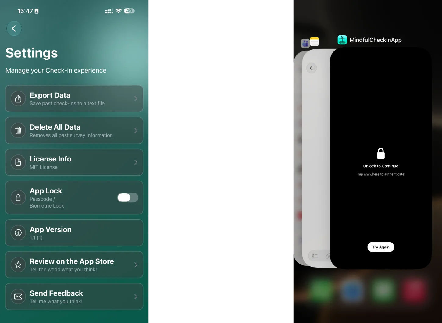 App Lock Screenshots
