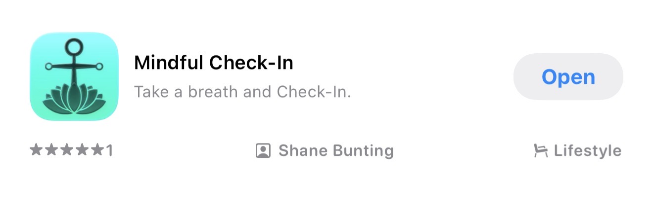 Mindful Check-In 1.0