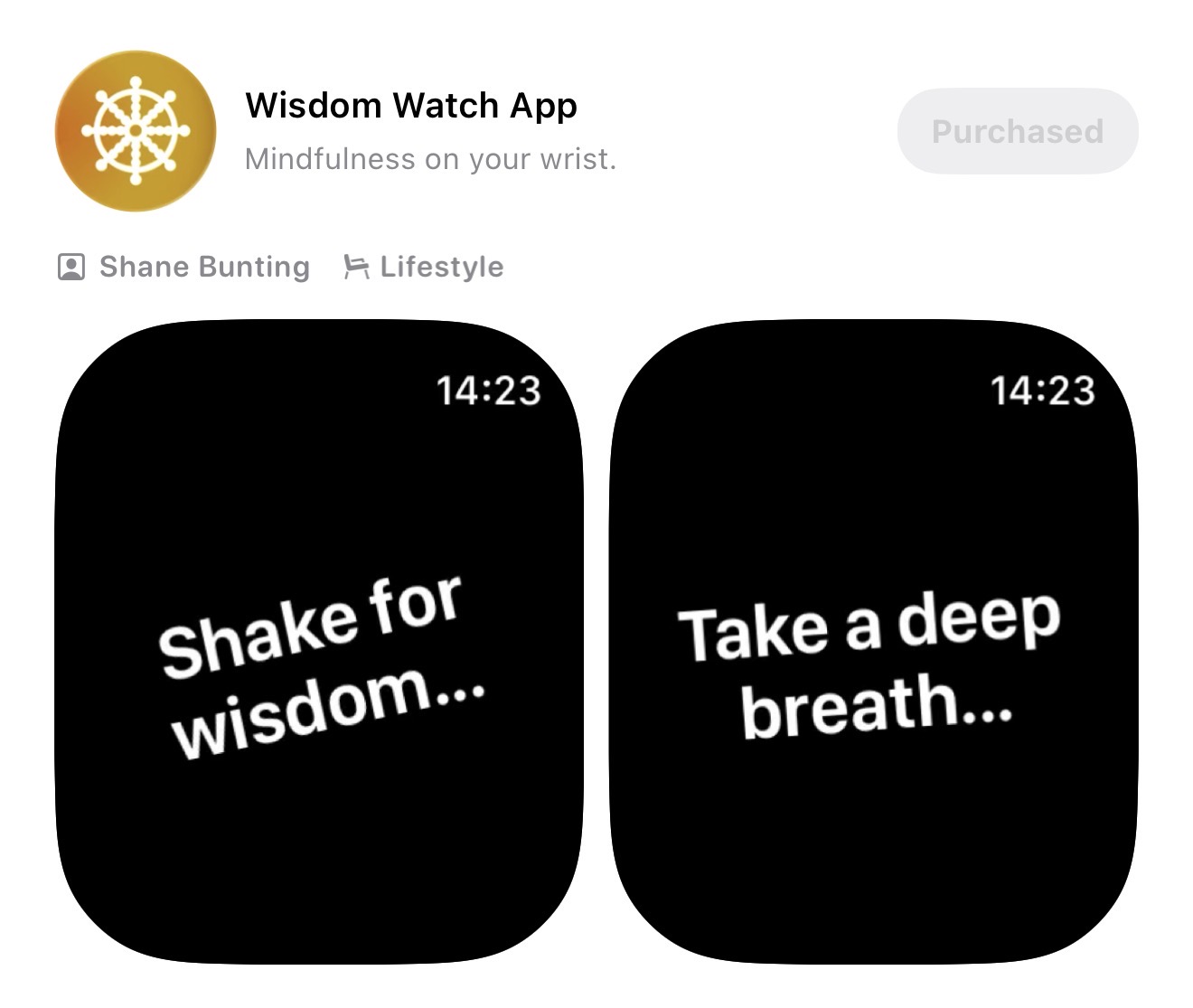 Wisdom Watch 2.0